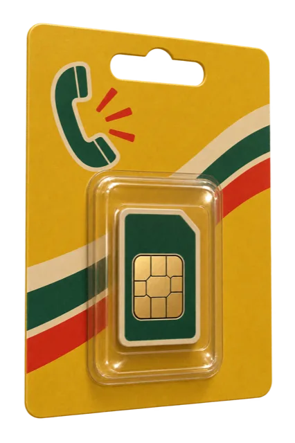 一张吸塑包装的 SIM 卡，代表 Google Voice 号码